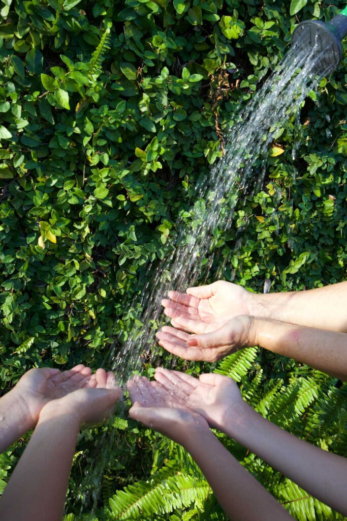 hands holding clean water