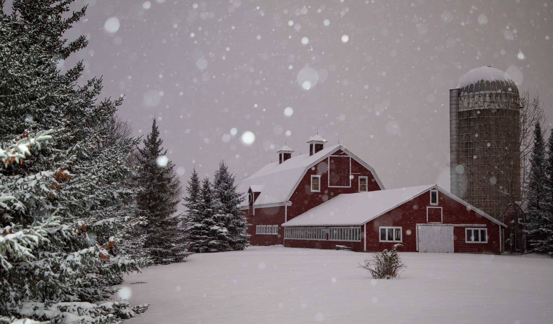 O'Brien Farm barn and silo in the winter